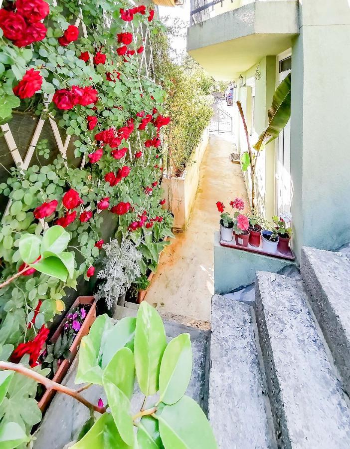 Siesta Apartman *