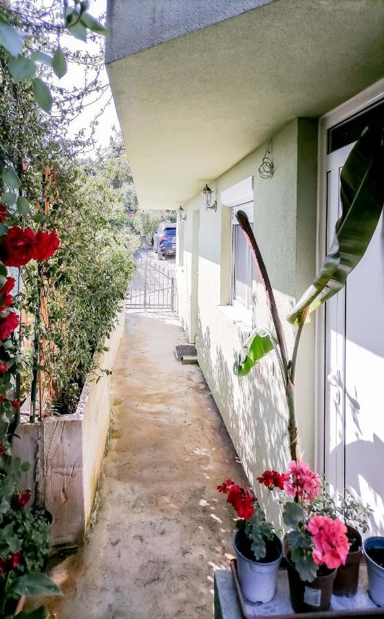 Siesta Apartman