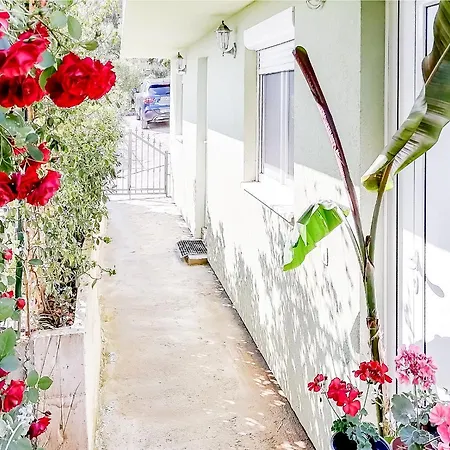 Apartments Siesta Тиват Екстер'єр фото